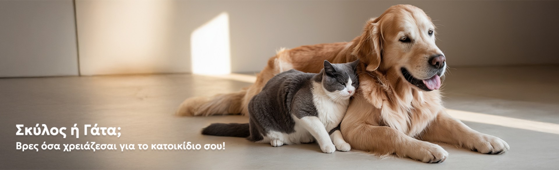 Best Sellers for your pet!