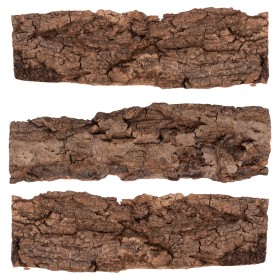 Galileo Σε &hellip;