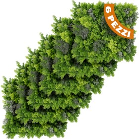 BAKAJI Σετ …