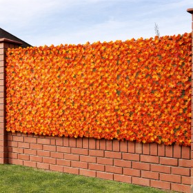 BAKAJI Συν &hellip;