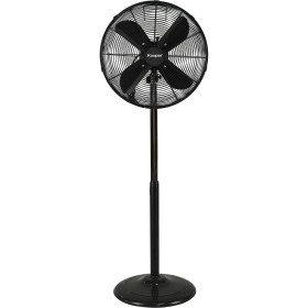 Kooper Ανε … Kooper Ανε …