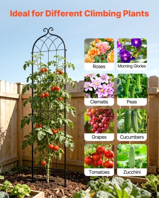 VEVOR Τρέλις Κήπου για Αναρριχώμενα Φυτά 220 x 52,5 εκ., Σετ 6 Τεμα...