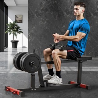 VEVOR Καθιστή Άσκηση Γάμπας Οικιακό Γυμναστήριο ZSTJJBKZDDTXQXNT0V0 VEVOR Καθιστή Άσκηση Γάμπας Οικιακό Γυμναστήριο ZSTJJBKZDDTXQXNT0V0