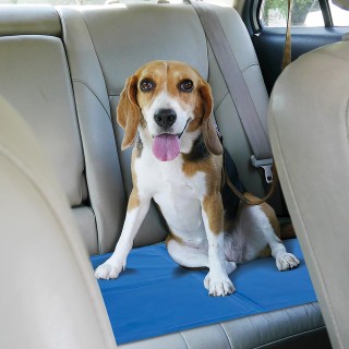 Galileo Δροσιστικό τζελ χαλάκι για κατοικίδια 30x40 εκ. Puppy Duppi...