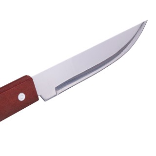 Galileo Σετ μπάρμπεκιου 4 εργαλείων από ανοξείδωτο ατσάλι με ξύλινη...