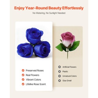 VEVOR Forever Flowers: 27 Διατηρημένα Τριαντάφυλλα σε Καρδιά, Αιώνι...