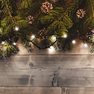 Kooper Filo 750 LED ζεστό λευκό 3375 m εξωτερική χρήση 8 παιχνίδια ...