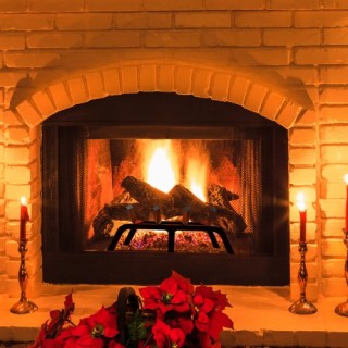 VEVOR 18 ιντσών Σχάρα Τζακιού από Ατσάλι με Επίστρωση Πούδρας για Κ... VEVOR 18 ιντσών Σχάρα Τζακιού από Ατσάλι με Επίστρωση Πούδρας για Κ...