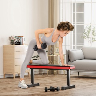 SPORTNOW  Πάγκος Γυμναστικής για Βάρη και Κοιλιακούς από Ατσάλι με ...