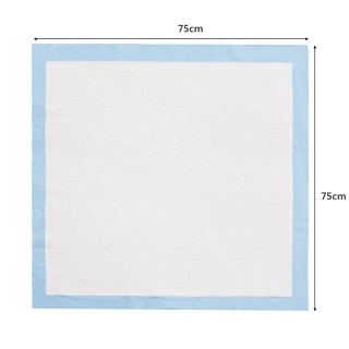 Costway  Εκπαιδευτικό Υπόστρωμα Σκύλων Κουταβιών Υγιεινής 150 Τεμάχ...