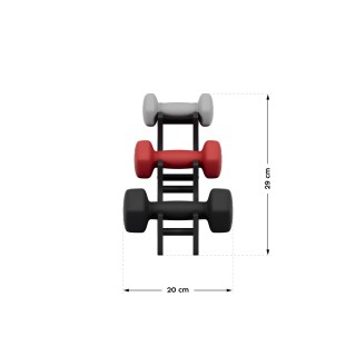 Athler Σετ Αλτήρων Lion 10 με Διαστάσεις: 10 x 5 x 5 cm 5903796018554 Athler Σετ Αλτήρων Lion 10 με Διαστάσεις: 10 x 5 x 5 cm 5903796018554