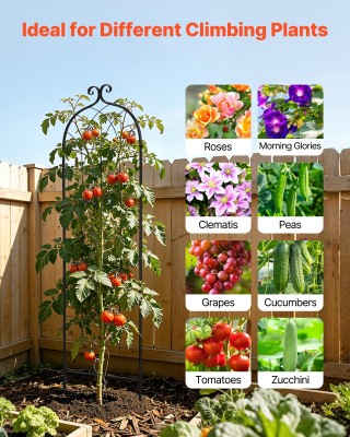 VEVOR Κηπόσκαλα για Τριανταφυλλιές 180 x 52,5 εκ., Σετ 8 Τεμαχίων, ...