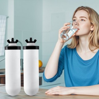 VEVOR Ανταλλακτικά Φίλτρα Νερού για Σύστημα Βαρύτητας (Σετ 2) ZLLS... VEVOR Ανταλλακτικά Φίλτρα Νερού για Σύστημα Βαρύτητας (Σετ 2) ZLLS...