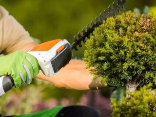 Verk Group Ασύρματο Χορτοκοπτικό & Ψαλίδι Θάμνων - Ψαλίδι Μπορντούρ...