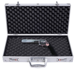 Costway Θήκη Όπλων Αλουμινίου 47x25 εκ. TL29256