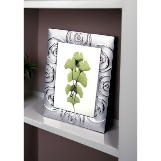 Galileo Ασημί Πλαίσιο Επιτραπέζιο Διακόσμηση με Τριαντάφυλλα για Φω...