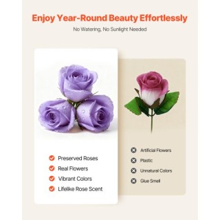 VEVOR Forever Flowers: 50 Αιώνια Τριαντάφυλλα σε Κουτί, Μοναδικό Δώ...