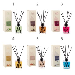 Galileo Διαχυτής αρώματος 150 ml σε γυαλί με 6 πολυεστερικά στικ Lu...