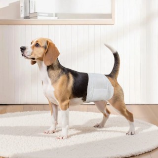 VEVOR Υπερ-Απορροφητικά Πάνες Αρσενικών Σκύλων μιας Χρήσης S 144 Τε...