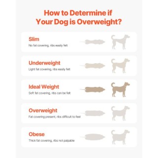 VEVOR Ηλεκτρικός Διάδρομος για Μεσαίους Σκύλους DDGGPBJOCZXQLCKCJV2 VEVOR Ηλεκτρικός Διάδρομος για Μεσαίους Σκύλους DDGGPBJOCZXQLCKCJV2