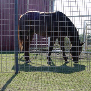 BAKAJI  Ηλεκτροσυγκολλημένο Μεταλλικό Πλέγμα 2 μ x 25 μ Με Μάτι 50x...