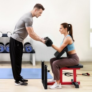 VEVOR Ρυθμιζόμενος Πάγκος Κάμψεων Δικεφάλων για Οικιακό Γυμναστήριο...