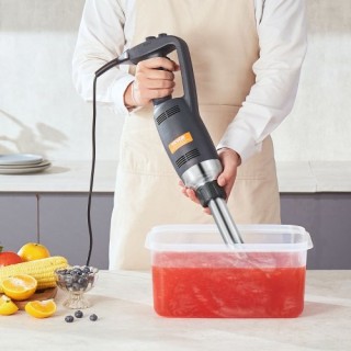 Επαγγελματικός Ραβδομπλέντερ VEVOR 350W για Σούπες & Σάλτσες ZXSCJ... Επαγγελματικός Ραβδομπλέντερ VEVOR 350W για Σούπες & Σάλτσες ZXSCJ...