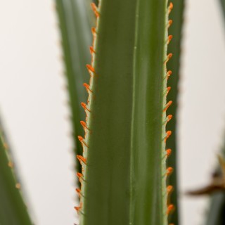 HOMCOM Τεχνητό Φυτό Γιούκα 190 εκ με 39 Φύλλα σε Γλάστρα από PEVA κ...