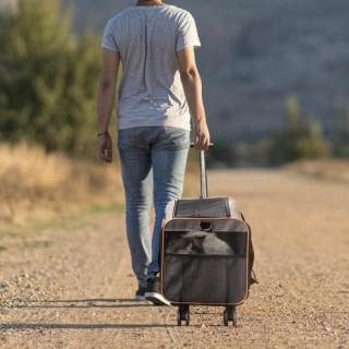 Τροχήλατο Κλουβί Μεταφοράς Κατοικιδίων VEVOR, Εγκεκριμένο για Αεροπ... Τροχήλατο Κλουβί Μεταφοράς Κατοικιδίων VEVOR, Εγκεκριμένο για Αεροπ...