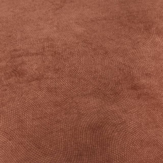 Atmosphera Μαξιλάρι Διαστάσεων 55 x 55 εκ. – Αφαιρούμενο με Πιστοπο... Atmosphera Μαξιλάρι Διαστάσεων 55 x 55 εκ. – Αφαιρούμενο με Πιστοπο...