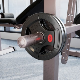 SPORTNOW Σετ με Δίσκους Βαρών 2x5 kg με Οπή 5 cm και 3 Λαβές, Χάλυβ... SPORTNOW Σετ με Δίσκους Βαρών 2x5 kg με Οπή 5 cm και 3 Λαβές, Χάλυβ...