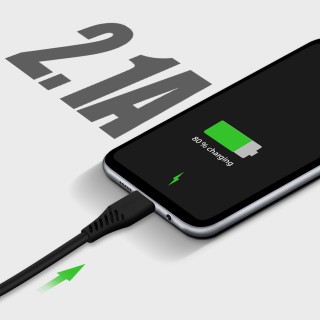 SWISSTEN Φορτιστής Ταξιδίου με Έξυπνο IC και 2x USB 2,1A Power + Κα...