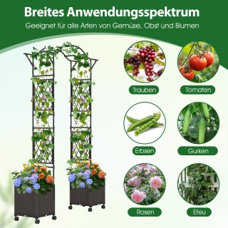 Costway  2 σε 1 Αψίδα Κήπου με Ζαρντινιέρα από Μέταλλο & PP Μαύρο Σ...