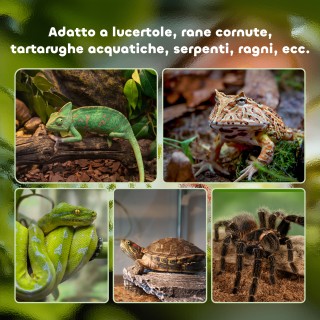 Γυάλινο Ενυδρείο για Ερπετά / Terrarium με Κλειδαριά και Θερμόμετρ... Γυάλινο Ενυδρείο για Ερπετά / Terrarium με Κλειδαριά και Θερμόμετρ...