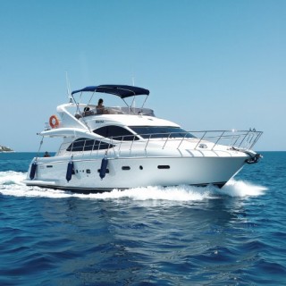 VEVOR Εργαλείο Ευθυγράμμισης Αφαίρεσης και Εγκατάστασης Ρουλεμάν Gi...