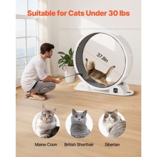 VEVOR Ρόδα Άσκησης Για Γάτες Με Βηματομετρητή 40.8 Λευκός Διάδρομος... VEVOR Ρόδα Άσκησης Για Γάτες Με Βηματομετρητή 40.8 Λευκός Διάδρομος...
