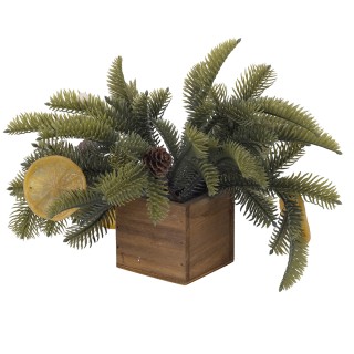 Villa dEste Home Διακοσμητικό Φυτό Garden Υψους 16 εκ με Κώνοι και ...