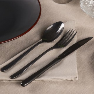 Galileo Σετ 24 μαχαιροπήρουνα από ανοξείδωτο ατσάλι 180 με μαύρο γυ...