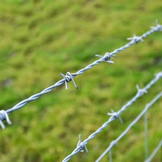 BAKAJI Σύρμα Ακανθωτό Γαλβανισμένο 100 Μέτρα Κουλούρα Μεταλλική γι... BAKAJI Σύρμα Ακανθωτό Γαλβανισμένο 100 Μέτρα Κουλούρα Μεταλλική γι...