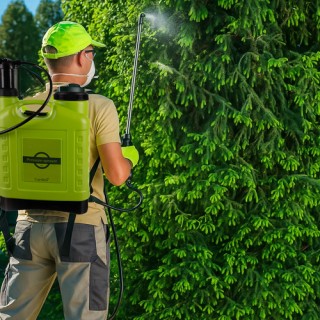 Χειροκίνητος Ψεκαστήρας Πίεσης 16L με Ιμάντες Πλάτης Πράσινο 25569 ... Χειροκίνητος Ψεκαστήρας Πίεσης 16L με Ιμάντες Πλάτης Πράσινο 25569 ...