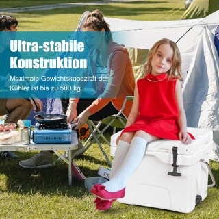 Costway Κουτί ψύξης με χωρητικότητα 15 λίτρων, ψυγείο με λαβή, τάπα...