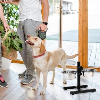 BAKAJI Διπλό Μπολ για Σκύλους με Ρυθμιζόμενη Βάση 2 Μπολ Ανοξείδωτο... BAKAJI Διπλό Μπολ για Σκύλους με Ρυθμιζόμενη Βάση 2 Μπολ Ανοξείδωτο...