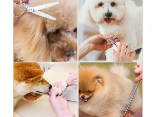 Verk Group Σετ Ασύρματης Κουρευτικής Μηχανής Περιποίησης Κατοικιδίω...