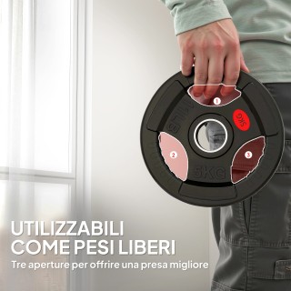 SPORTNOW Σετ με Δίσκους Βαρών 2x5 kg με Οπή 5 cm και 3 Λαβές, Χάλυβ...
