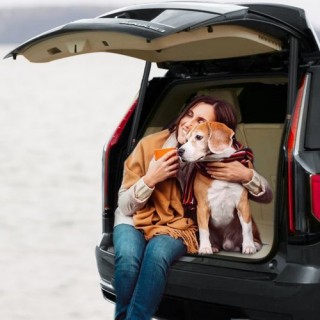 VEVOR Αμορτισέρ Πορτμπαγκάζ Συμβατά με Cadillac Escalade 2015-2020 ...