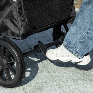 PawHut Πτυσσόμενο καροτσάκι για σκύλους μεγάλου μεγέθους με παράθυρ...