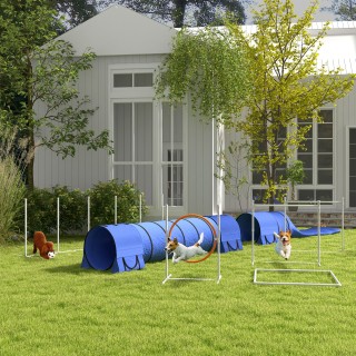 PawHut Agility Dog Σετ 7 τεμαχίων με σφυρίχτρα και τσάντα μεταφοράς... PawHut Agility Dog Σετ 7 τεμαχίων με σφυρίχτρα και τσάντα μεταφοράς...