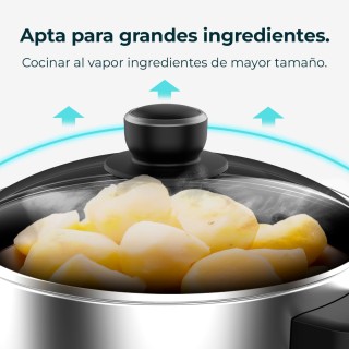 Ηλεκτρικός Ατμομάγειρας 1300W με 3 Δοχεία από Ανοξείδωτο Ατσάλι 10l...