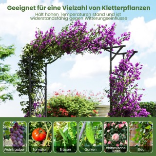 Costway  Μεταλλική Αψίδα Κήπου για Αναρριχώμενα Φυτά 170 x 39 x 210...