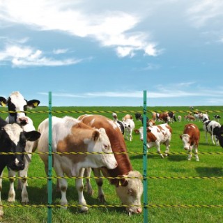 VEVOR 3366Ft 1026M Ηλεκτρικό Σύρμα Περίφραξης Πολυσύρμα για Άλογα κ... VEVOR 3366Ft 1026M Ηλεκτρικό Σύρμα Περίφραξης Πολυσύρμα για Άλογα κ...